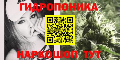 мяу мяу мука Мариинск